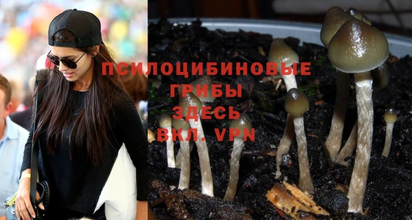 сатива Надым