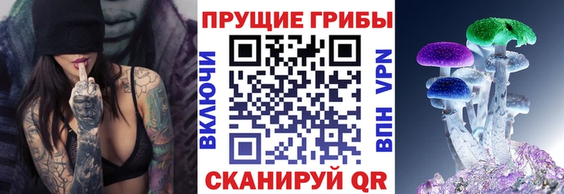 Псилоцибиновые грибы мицелий Евпатория